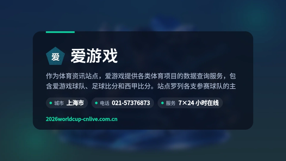 爱游戏概况